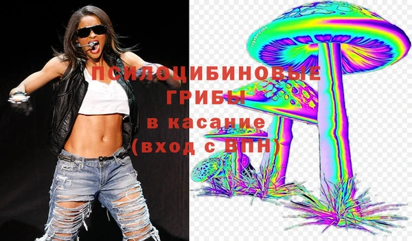 соль ск Армянск