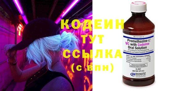 хмурый Арсеньев