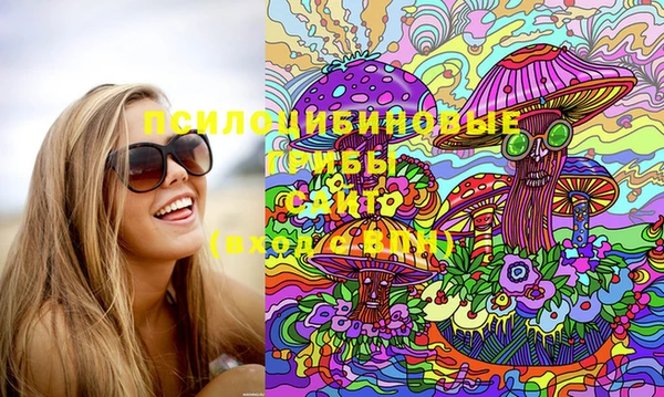 хмурый Арсеньев