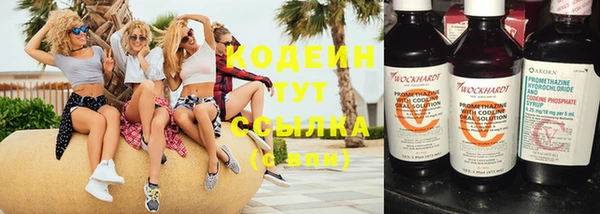 хмурый Арсеньев